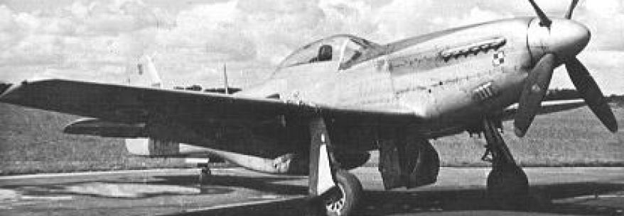 Mustang of 303 (Polish) Squadron